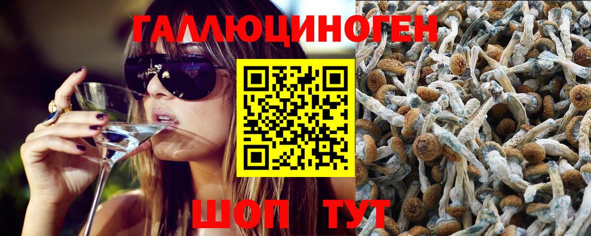 хочу наркоту  Псилоцибиновые грибы ЛСД  Галлюциногенные грибы MAGIC MUSHROOMS  Вход с VPN  Канаш 