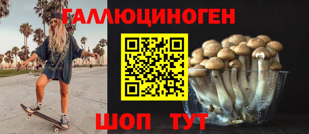 Псилоцибиновые грибы Psilocybe Канаш